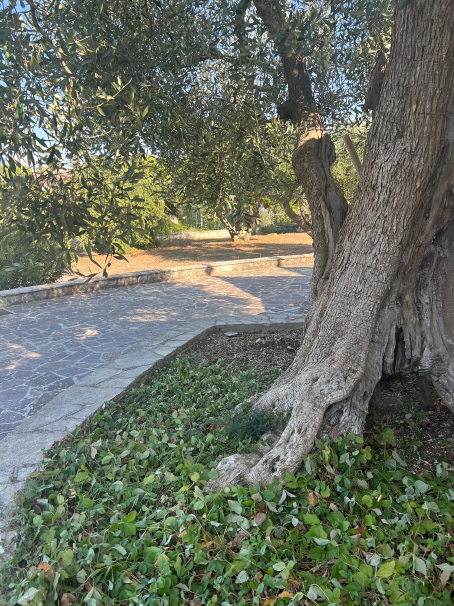 I Trulli Di Eva Apartment Noci Bagian luar foto